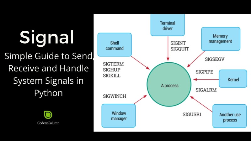 difference between sign and send cryptos python